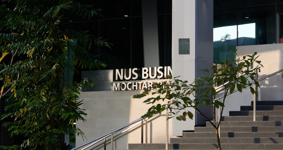 business-incubation-courses